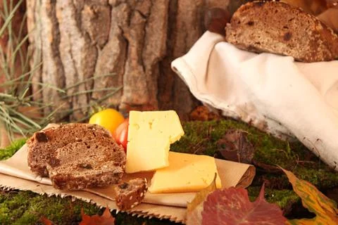 Picnic in forest. Rye bread, cheese slices and tomatoes Stock Photos