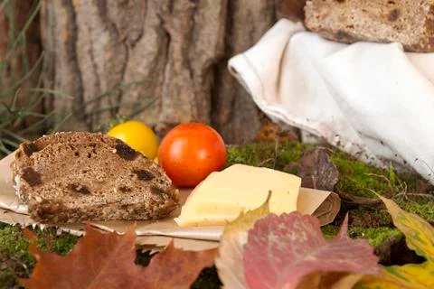Picnic in forest. Rye bread, cheese slices and tomatoes Stock Photos