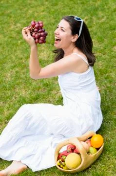 Picnic with fruit Stock Photos
