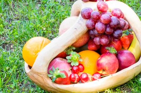 Picnic with fruit Stock Photos