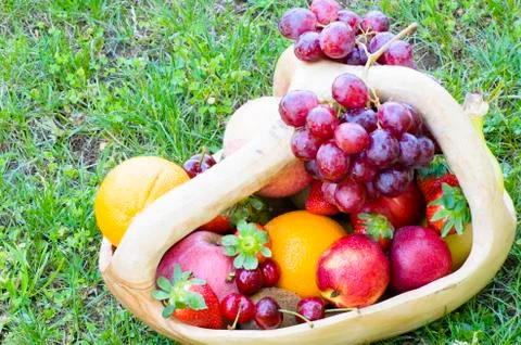 Picnic with fruit Stock Photos
