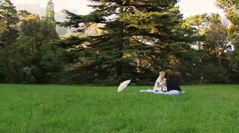 Picnic On Grass Video stock 52485784