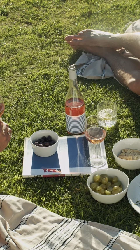 Picnic in the grass Video stock 235747911