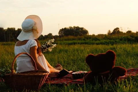Picnic on a green meadow in the summer Stock Photos
