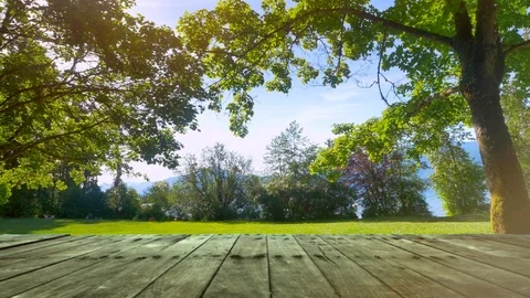 Picnic Green Park Garden Grass Nature Outdoor Nature Table City Background Stock Footage