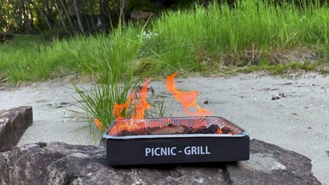 Picnic grill fire burning Stock Footage 337364557