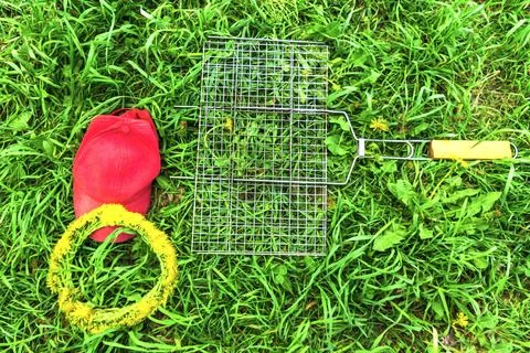 Picnic items. Stock Photos