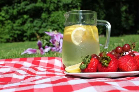 Picnic lemonade Stock Photos