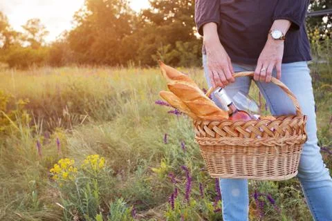 Picnic in the meadow Stock Photos