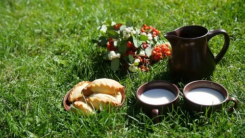 Picnic on a meadow in spring day Stock Footage 71942579
