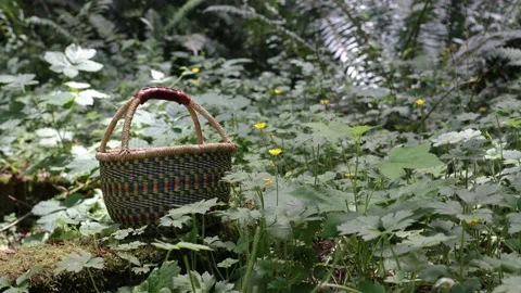 Picnic for One Stock Footage 200981209