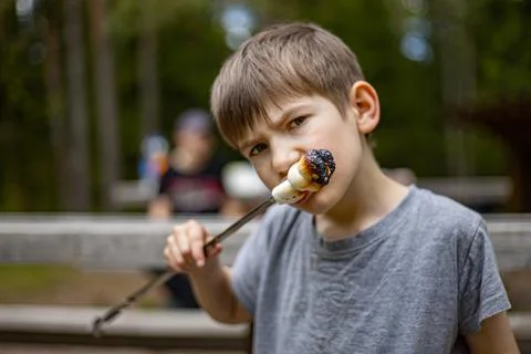 Picnic outside the house The boy eats marshmallows baked on a spit. Foto stock