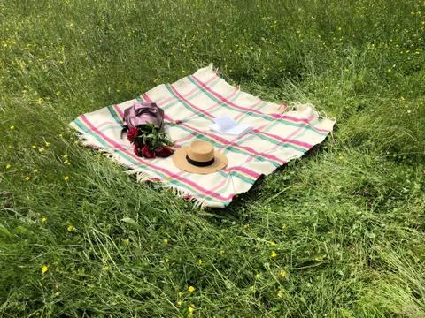 Picnic in the park concept. Checkered blanket with a straw hat, backpack Stock Photos