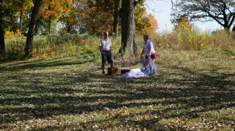 Picnic in The Park Video stock 8827985