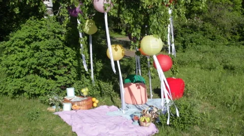 Picnic at park Stock Footage