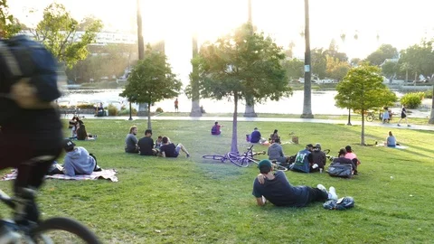 Picnic At The Park Stock Footage 123452630