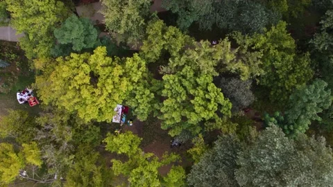 Picnic in the park Stock-Footage 168574529