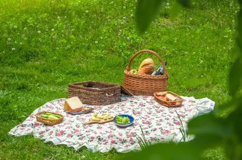Picnic in the park Stock Photos