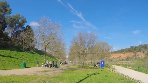 Picnic At The Park With Roast Stock Footage 82485689