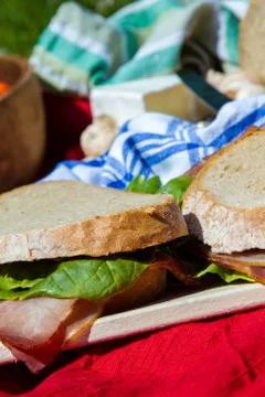 Picnic. Stock Photos