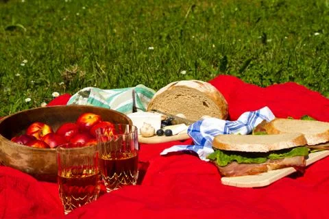 Picnic. Stock Photos