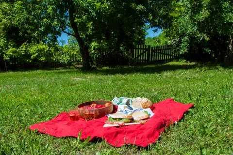 Picnic. Stock Photos