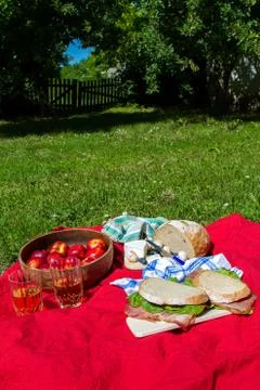 Picnic. Stock Photos