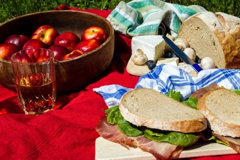 Picnic. Stock Photos