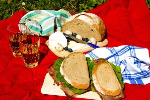 Picnic. Stock Photos
