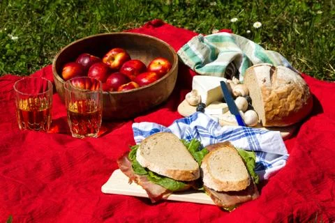 Picnic. Stock Photos