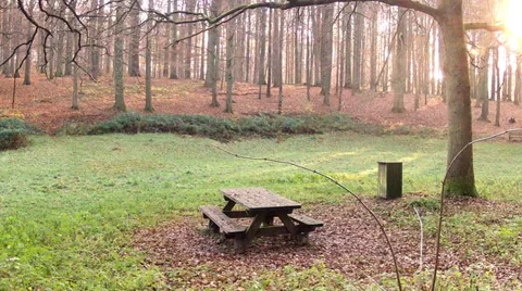 Picnic place in a forest. Stock Footage 35172859