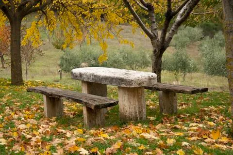 Picnic place in a forest Stock Photos