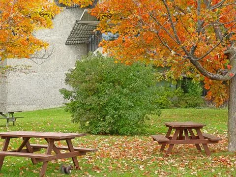 Picnic place Stock Photos