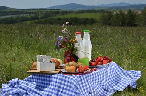 Picnic Placed on Meadow Stock Photos