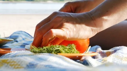 Picnic on a river beach - cutting mozzarella and tomato 4k Stock Footage 82281685