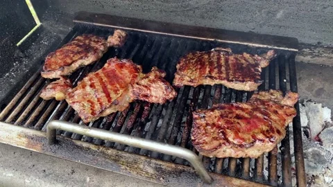 Picnic, roasting meat steak in burning charcoal fire on bbq grid. Juicy steak Stock Footage 169610857