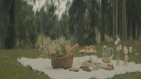 A picnic scene in the lap of nature 2 Stock-Footage 333519189