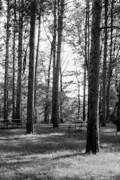 Picnic Spot Stock Photos