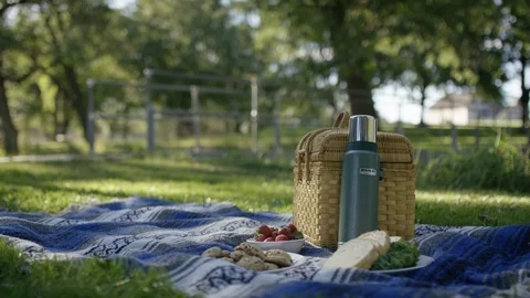 Picnic spread on a blanket. Video stock 102792518