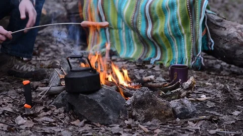 Picnic in a spring forest - hiker toasts the sausages at the campfire Video stock 86191441