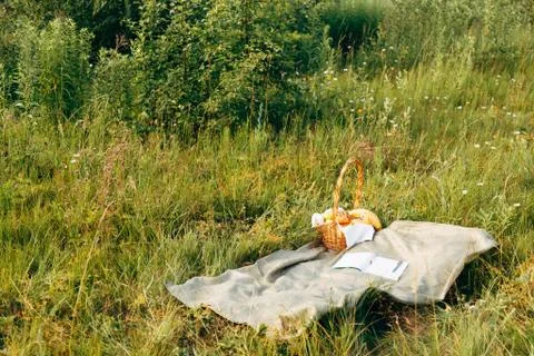 Picnic in the spring summer forest without people. Stock Photos