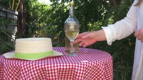 Picnic table and white wine in the garden with red gingham cover Stock Footage 168379891