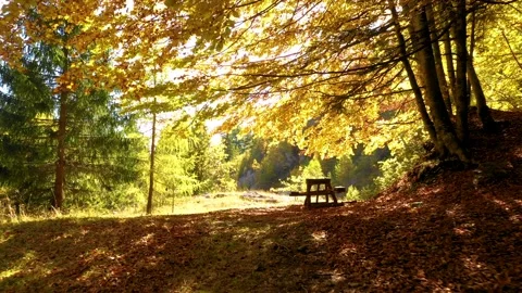 A picnic table in the autumn mountain forest. Enjoy the tranquil sitting Stock Footage 150582153