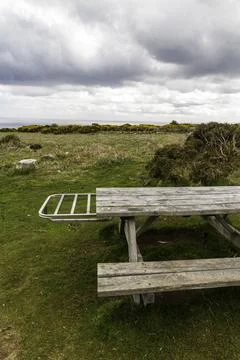 Picnic table with bbq shelf. Stock Photos