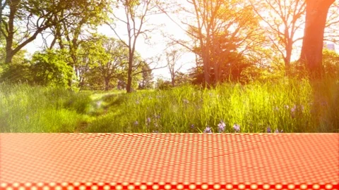 Picnic Table Cloth Checkered Pattern Background Texture Fabric City Park Video stock 89366676