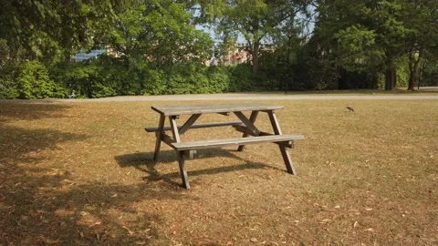 Picnic Table Video stock 226998897