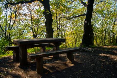 Picnic table in the forest Foto stock
