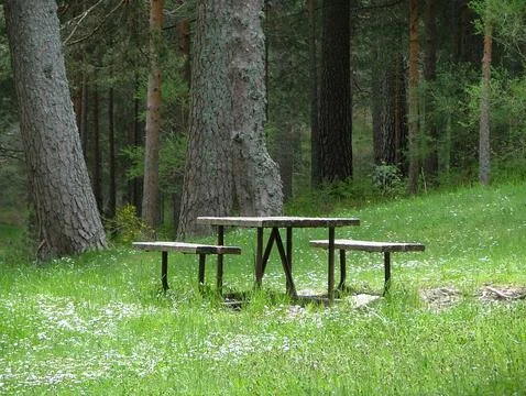 Picnic table in the forest Stock Photos
