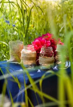 Picnic table on the grass background. The table is decorated with jars in a r Stock Photos
