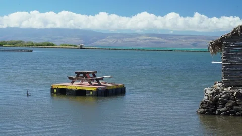 Picnic Table in the middle of the lake Stock Footage 97589012